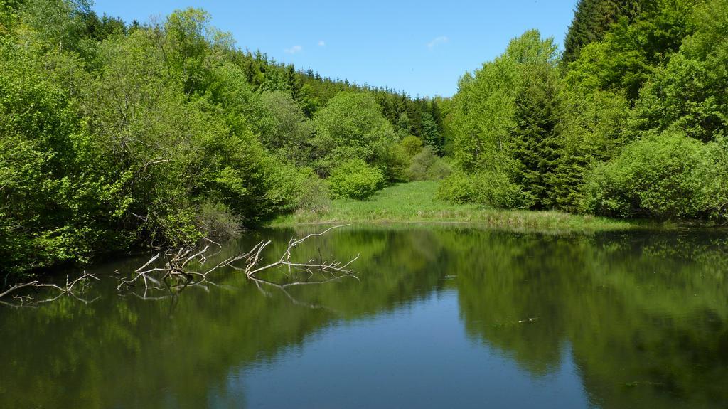 Landidyll Landhaus Liesetal Hallenberg Kültér fotó