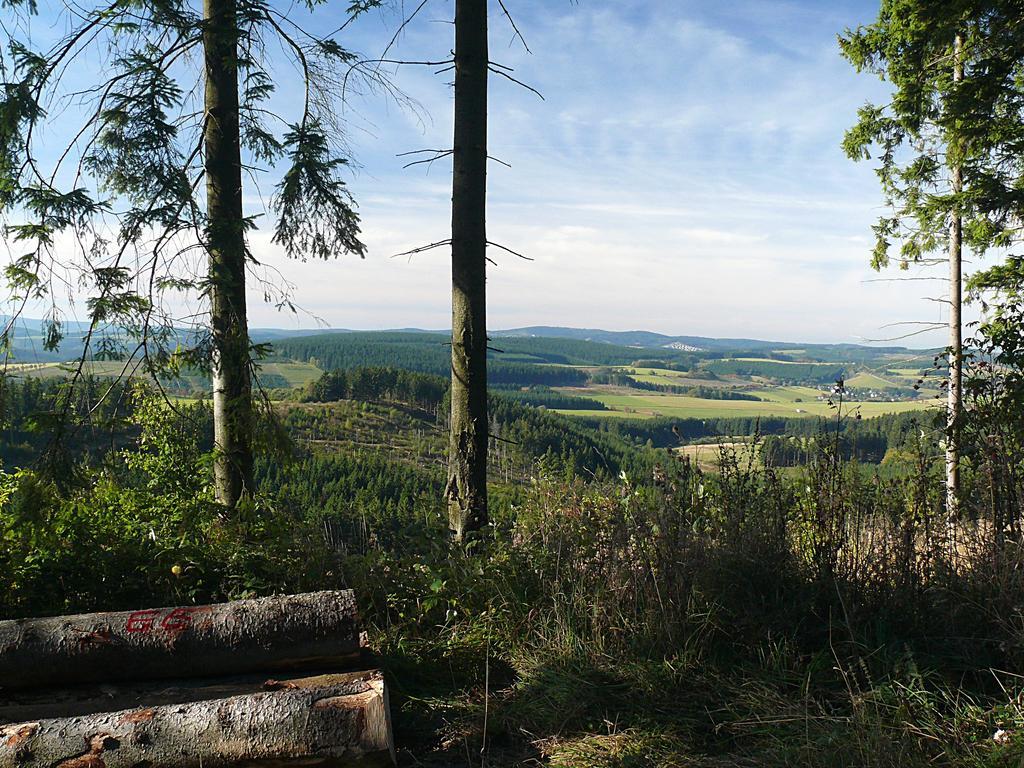 Landidyll Landhaus Liesetal Hallenberg Kültér fotó