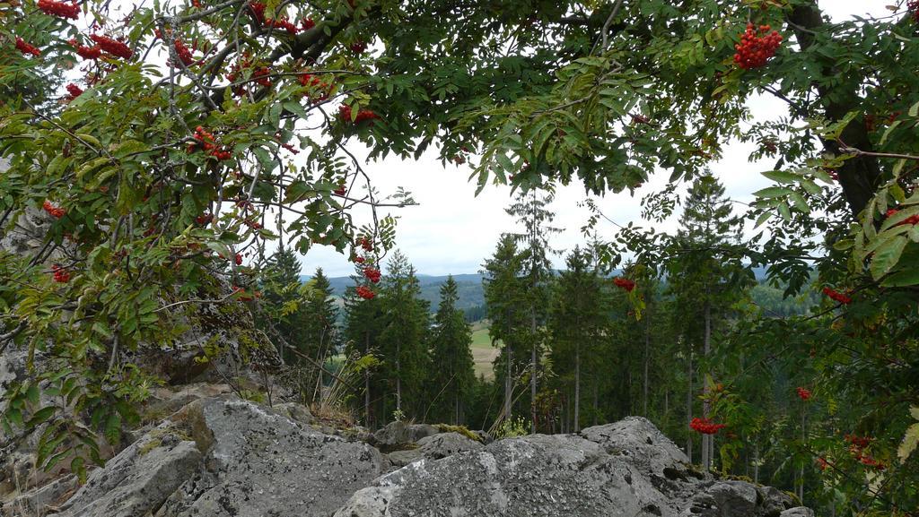 Landidyll Landhaus Liesetal Hallenberg Kültér fotó